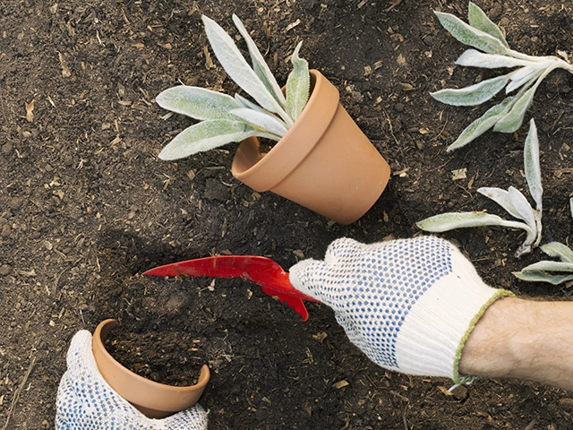 Serviços de Jardinagem